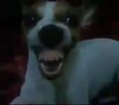 videoframe_3038.png